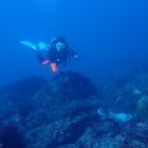 西川名ダイビングログ｜館山ダイビング