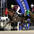 【10/21メインレースレポート】佐賀重賞馬⑤ブレイブアモーレ（牡6＝佐々木国明厩舎）が2年8カ月ぶりV！ マスタリー賞