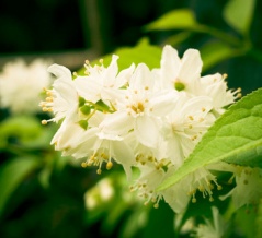 韓国、「無茶苦茶」定年延長、年功賃金の継続主張する労組　実現すれば「若者失業増加」