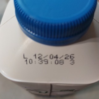 みどりむし in ヨーロッパのどこか（４）