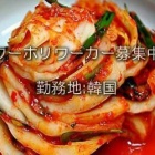 『韓国ワーホリ求人情報』の画像