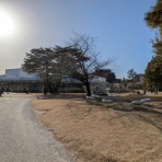 イノシシ＆ブタの　新潟のほほん日記