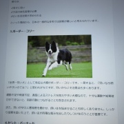 大切な生活