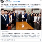 痛いニュース(ﾉ∀`)