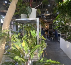 今年5月にオープンしたガーデンショップ＆カフェバー「roots ルーツ」に、やっと行ってきた。植物とカフェ。ワンちゃんもＯＫだって。(沼津市千本西町)