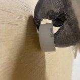 『ペットボトルの蓋で遊ぶ』の画像