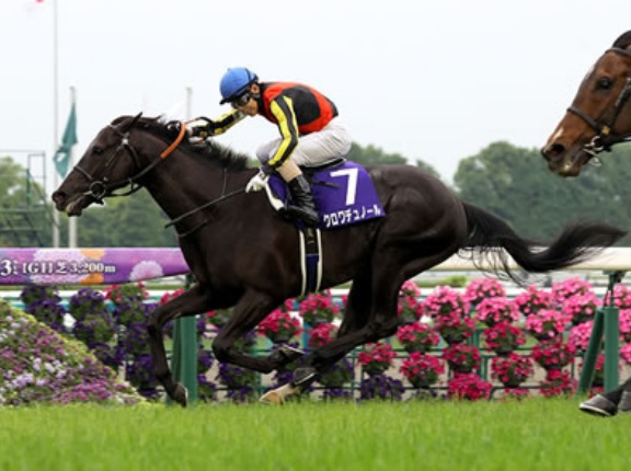 クロワデュノール次走は宝塚記念に決定！春の古馬3冠達成なら史上初の褒賞金3億円