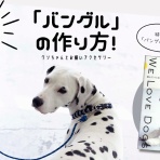 もっともっとKnot