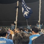 写真日記　2026年6月①交流戦と聖子ちゃん大忙しの週末