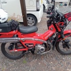 ももんがの飛膜