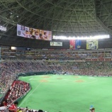 『乾いたぞうきんを搾るように…タコつぼ商法のNPB』の画像