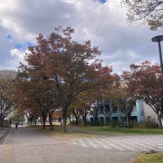 ʤΤ٤ơɲؤ˹դ򸫤˹Ԥä