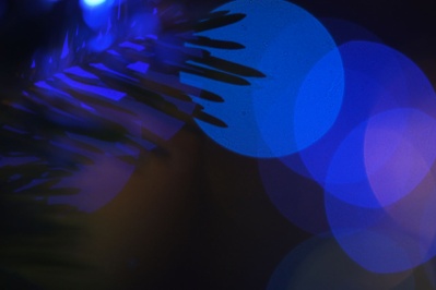 Zuiho Honor 50mm f1.9（Lマウント） : 会計士によるバリュー