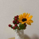 今週の花