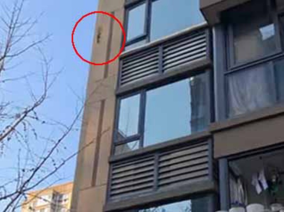 マンションの壁を何かが登って行く。アイツに続け～！ → 小さなスパイダーマンはこちらです…