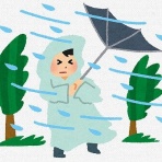 晴 天 と ら 日 和