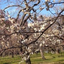 オリンピックに感動して、でも・・・
