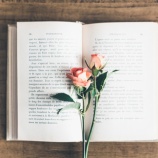 『聞いてみたい』の画像