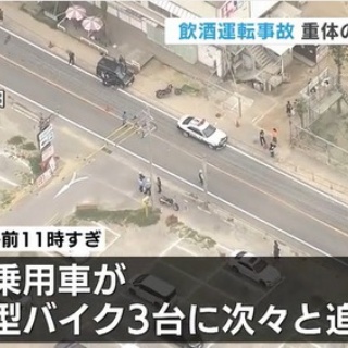 ハムスター速報