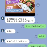 『娘からキャラ弁を所望された母の理想と現実（笑）』の画像
