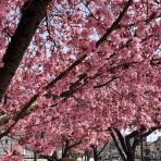 アラサーの元オタが真人間を目指す ～結婚準備編～