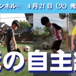 『シカチャンネル㊶』の画像