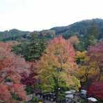 クロダイ・メジナ釣り、自転車、クルマ