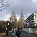 ここんところ++