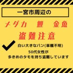 凸凹めだか凸凹の正直しんどい