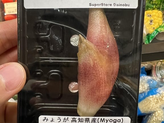 アメリカ人「日本産の謎の野菜が売ってたけどこれは何なの？」