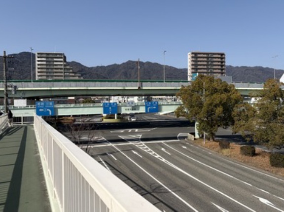 河津桜と菜の花