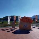 ウシ子とウシ夫の牛歩旅