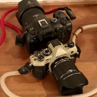 OM-5ⅡとR6Ⅲ