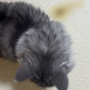 次に晴れるのはいつですか？