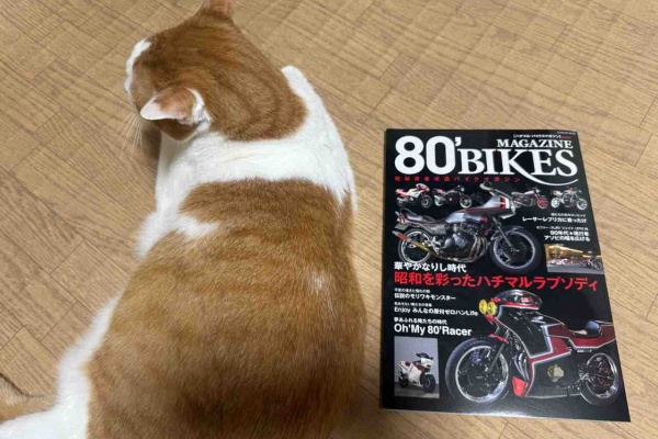 Z400GP専門店 エムゼクト つねちゃんのブログ - Z400GPに関する様々な
