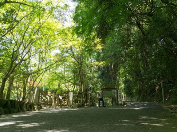 「神峰山の森（大阪府立北摂自然公園）」は第1〜第4日曜日に入園できるみたい