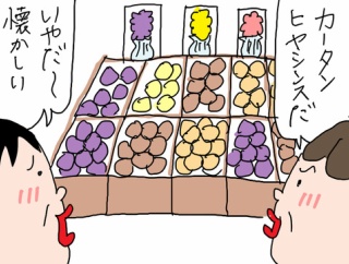 お揃いのヒヤシンス