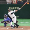 日ハムビヤヌエバ .243 23本 78打点