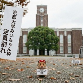 速報】りぼん 2025年 1月号 《特別付録》 ムーンライト☆洗顔バブル