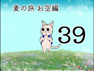 麦の旅お空編39