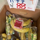 『【祭りセール】本日のお買い得品NO3』の画像