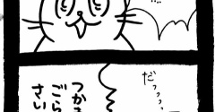 どうしても保護猫を迎えたかった知人の話34