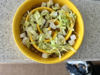 平和で平凡で平坦な日々… / 犬のダイエットが成功しない。