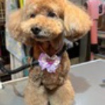 お客様のご紹介