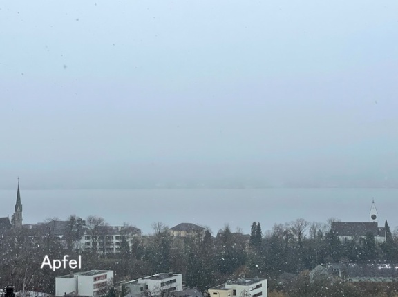 夫のお土産交換会