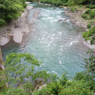 つり吉オヤジの日高川龍神鮎・あまご情報