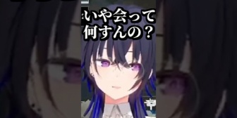 【ぶいすぽ】仲が良すぎる花芽姉妹と2年位会ってないのせさん