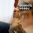 攻撃するクスィー