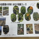 2025年度振り返りシートまとめ