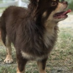 光受—いつも笑顔で一